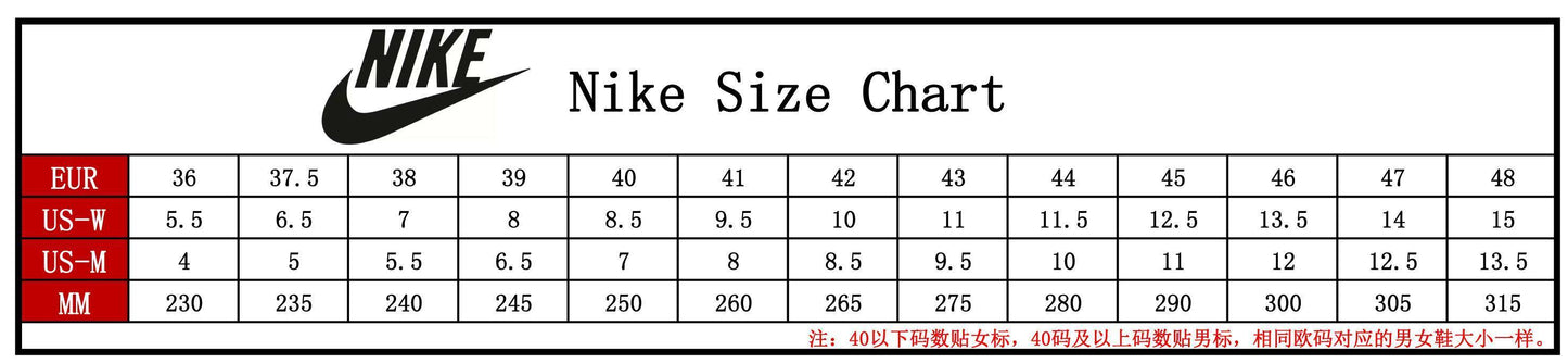 Air Jordan 312 shoes