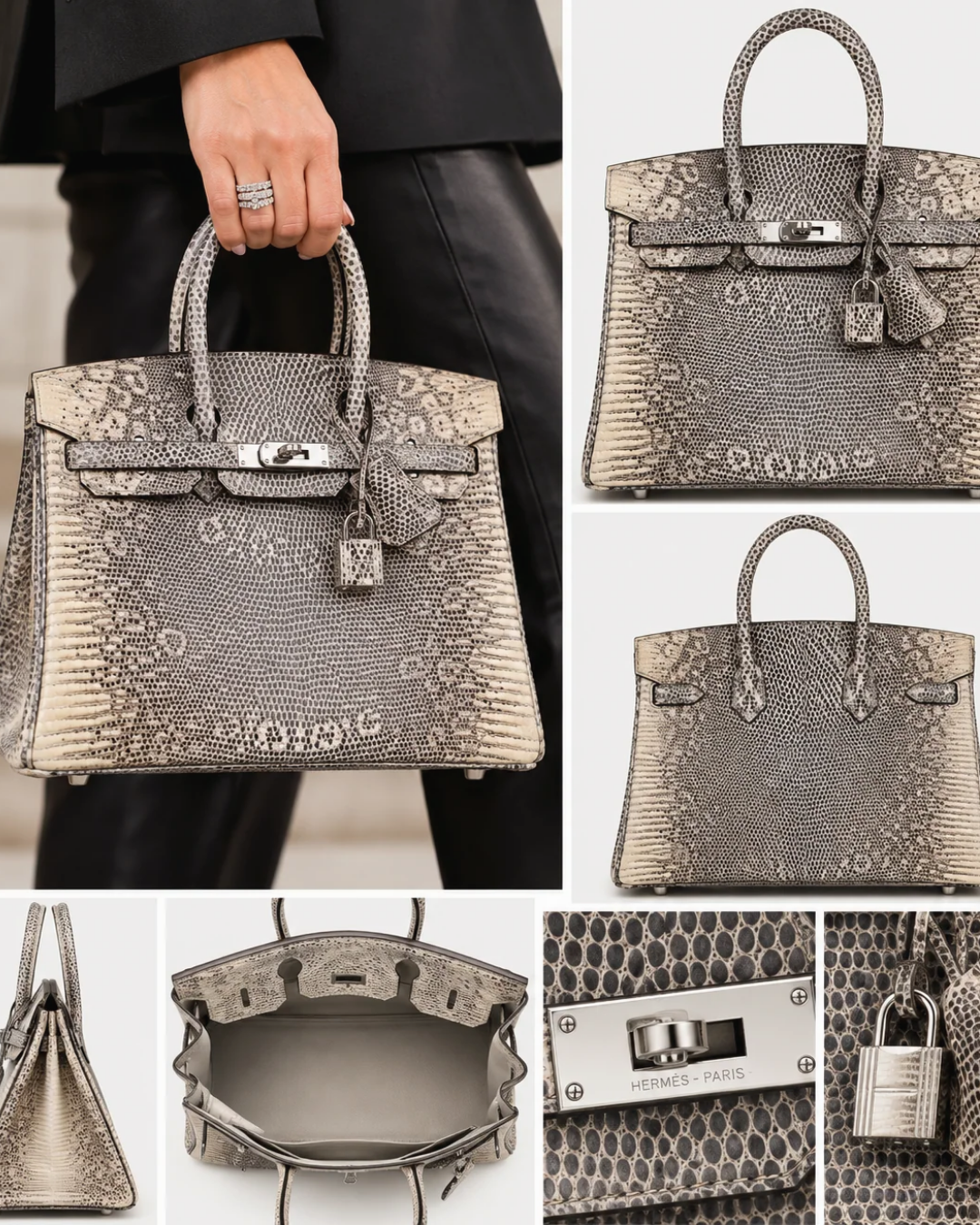 Ombre Lizard Embossed-Style 25 Handbag – Silver Hardware