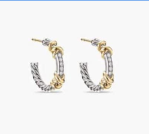 DY Earrings