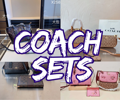 COACH 3pcs purse sets