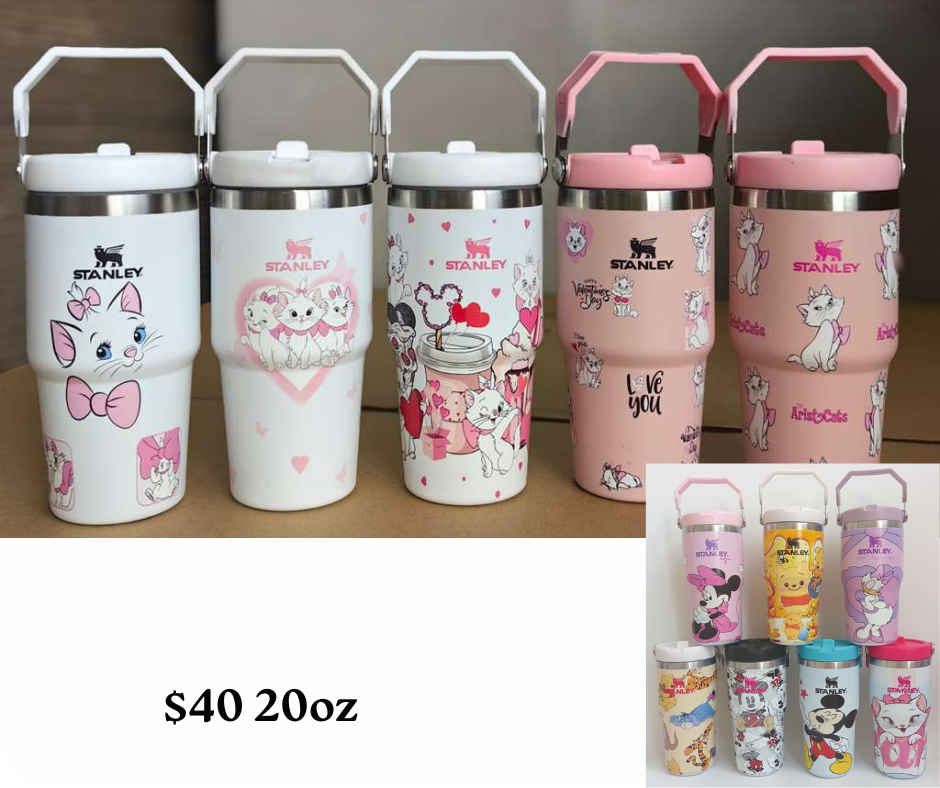 Kids Stanley 20oz