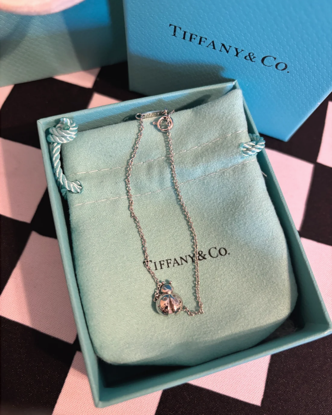 Dainty Ladybug Charm Necklace – Silver-Tone Jewelry Gift Set only 1