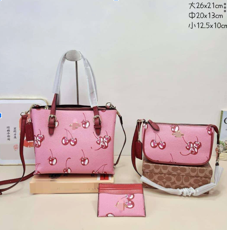 COACH 3pcs purse sets
