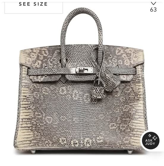 Ombre Lizard Embossed-Style 25 Handbag – Silver Hardware